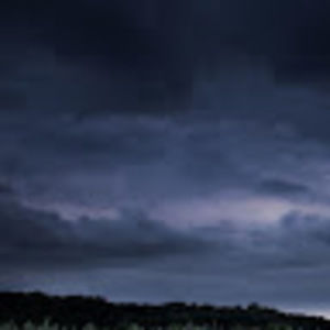 Meet your Posher, Dylan